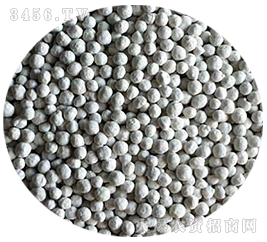 ���ȩ��(f��)�Ϸʰ�ɫ�w��-�𚤻���