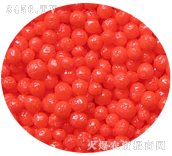 60���Ĥ�w��-�𚤻���