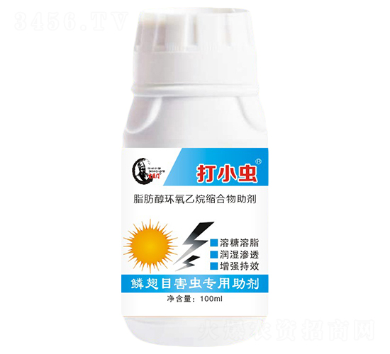 �[��Ŀ���x��������-��С�x-�d���_