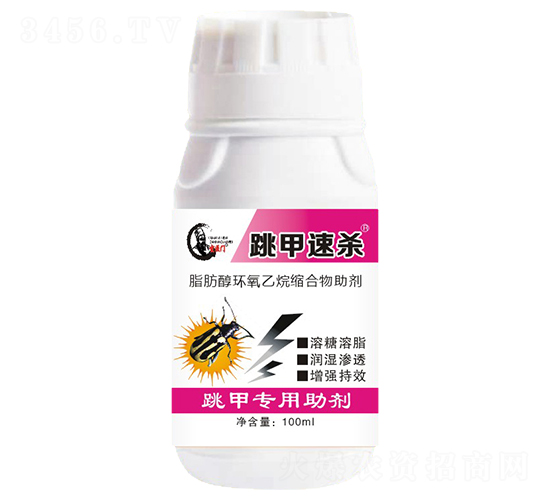 ���׌�������-�����ٚ�-�d���_(d��)