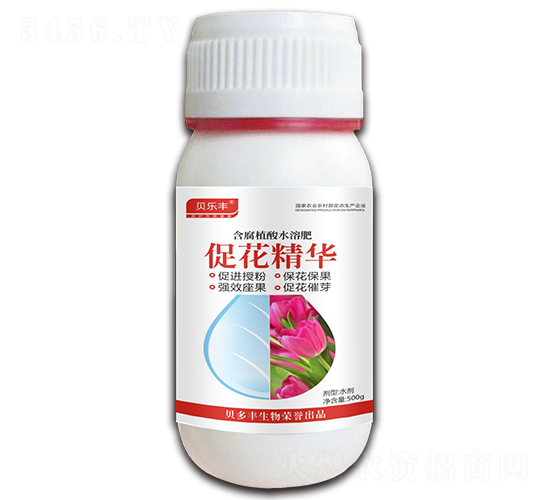 �ٻ����A-ؐ���S