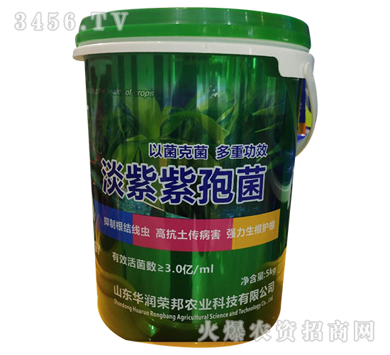 淡紫紫孢菌-華潤榮邦