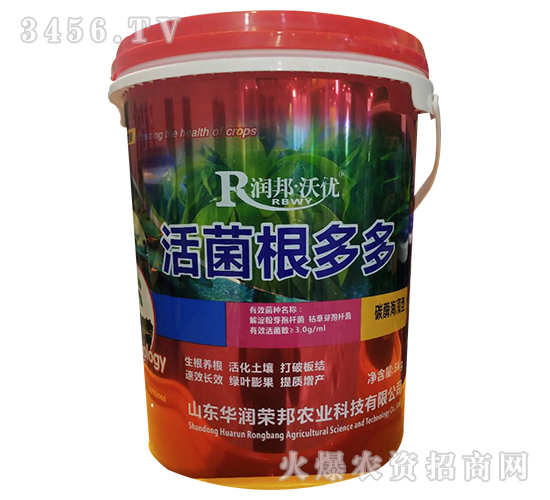 ��������-�A��(r��n)�s��