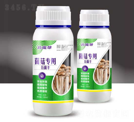 �������ðپ��S-���܎�-��M�}