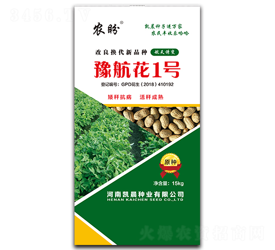 豫航花1號(hào)花生種子（原種）-農(nóng)盼-凱晨種業(yè)