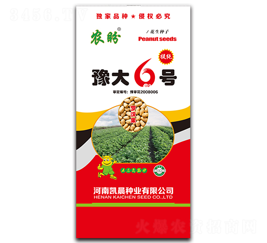 豫大6號(hào)花生種子（羅漢果）-農(nóng)盼-凱晨種業(yè)