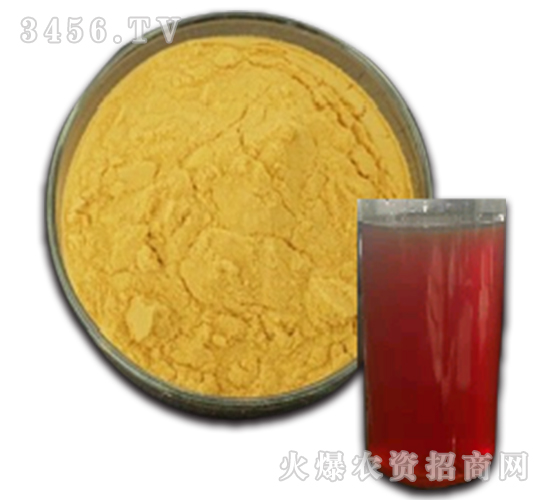 ������-��ʥ