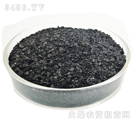 海藻精原粉-辰圣