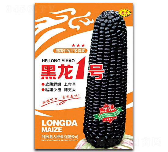 ����һ̖-���׷N��-����N�I(y��)