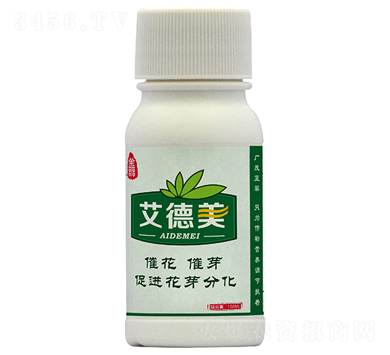 �~���-������-�{���r(n��ng)�I(y��)