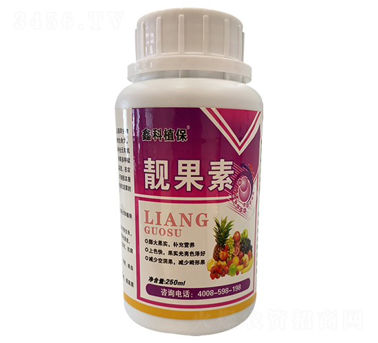 �n����-�ο�ֲ��-������