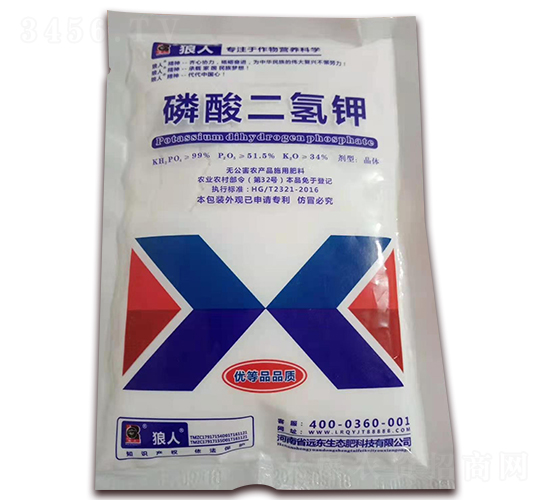 ��������-�ư�����