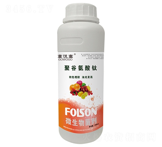 �۹Ȱ����-���ָ�-ʢ�Z����