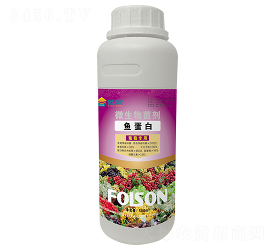 ���ь����~����-ʢ�Z����