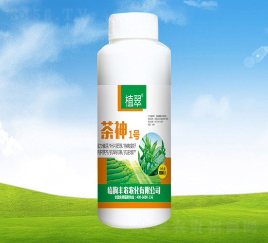 ����1̖-ֲ��-�S�r�r��