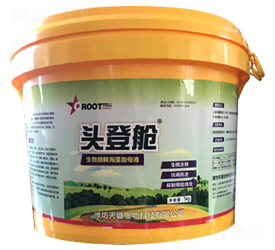 ����ø�⺣����ĸҺ-�^��œ-��ʢ����