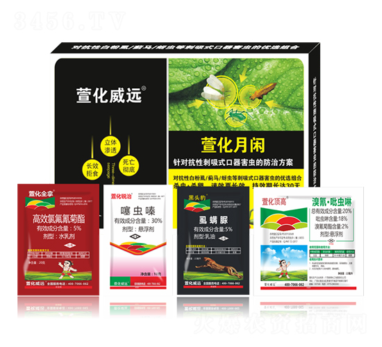 萱化月閑-萱化威遠(yuǎn)