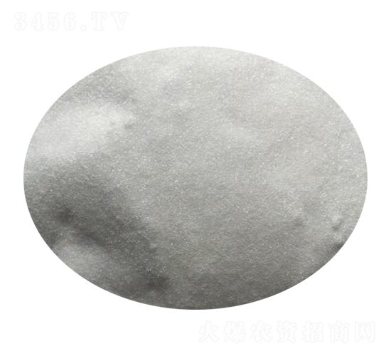 �߼��������-�|���S