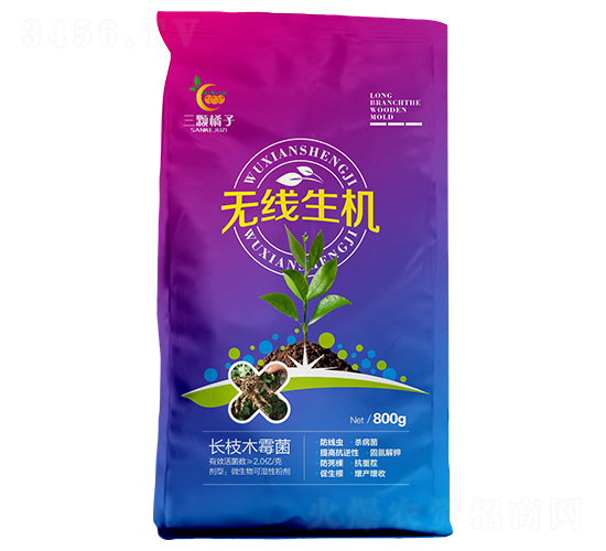 �L(zh��ng)֦ľù��-�o(w��)�����C(j��)-���w����