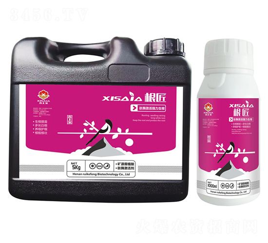 ��������ø�����������-ϲ�ϼ�-����S