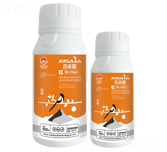 ϲ����-ϲ�ϼ�-����S