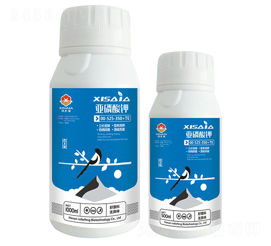 �������-ϲ�ϼ�-����S