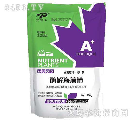 ø�⺣�徫-������