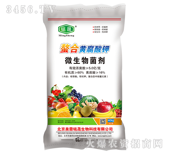 �����S�����΢�������-Ȫ�����