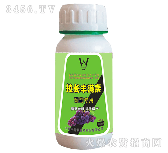 ���ь������L�S�M��-�����a-���ؿ�