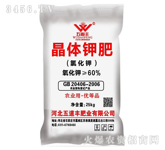 ���w⛷ʣ��Ȼ�⛣�-����S