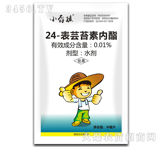 24-���|̦�؃�(n��i)��-Сث��-�����r(n��ng)��