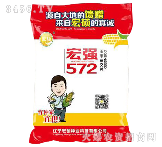 �ꏊ(qi��ng)572-�����s���N-��T�N�I(y��)