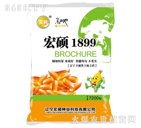 宏碩1899（7200粒）-玉米雜交種-宏碩種業(yè)