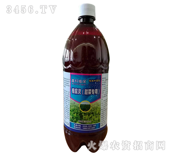 �����`����ˌ�(zhu��n)�ã�-�ο�ֲ��