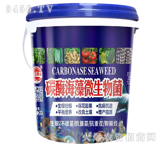 ̼ø����΢�����-��@���S-���S�ʘI(y��)