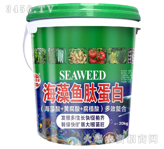 �����~�ĵ���-��@���S-���S�ʘI(y��)