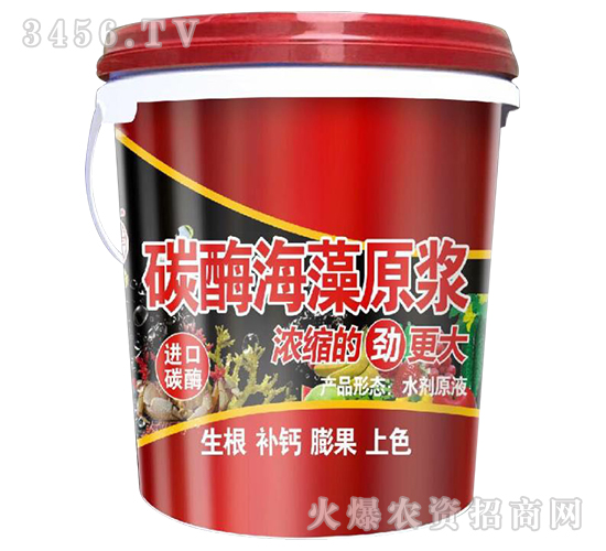 ̼ø����ԭ�{-���S�ʘI(y��)