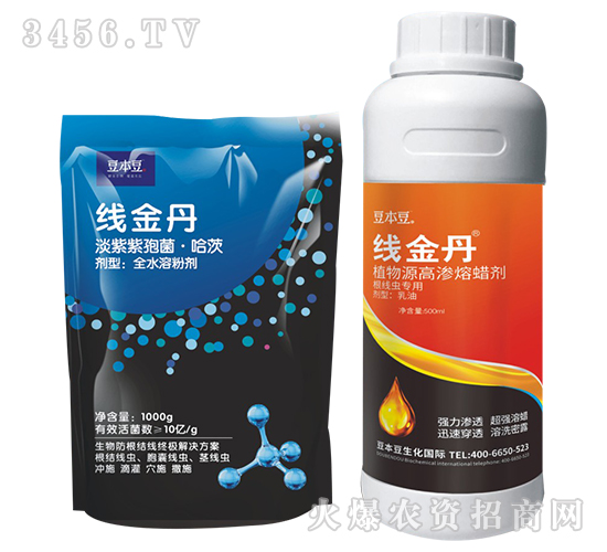 線金丹1+1組合-臺(tái)灣豆本豆