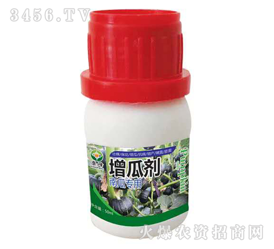 �Ϲό������τ�-��������