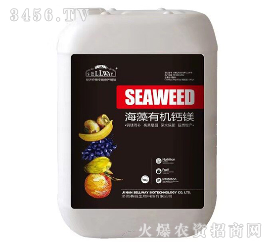 �����ЙC(j��)�}�V-ِ������