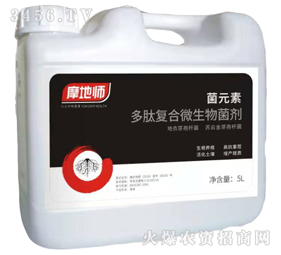 ��Ԫ�ض��ď�(f��)��΢�������-Ħ�؎�-�������r(n��ng)