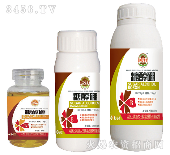 �Ǵ���-��@���S-���S�ʘI(y��)