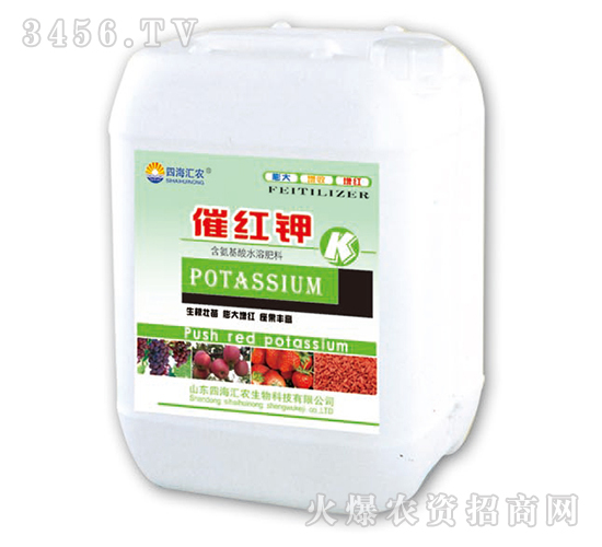 �߼t�-��@���S-���S�ʘI(y��)