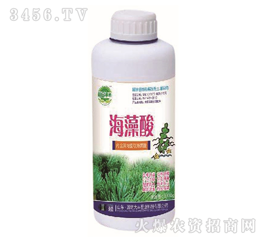 �����ᣨƿ��-��@���S-���S�ʘI(y��)