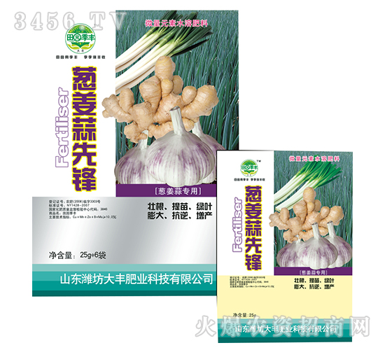 �[�������h-��@���S-���S�ʘI(y��)