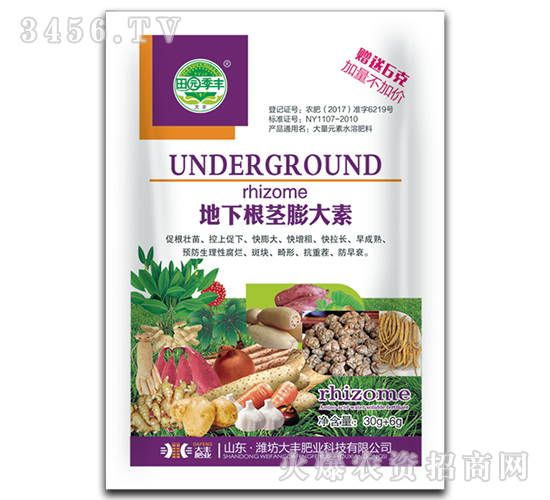 ���¸��o�����-��@���S-���S�ʘI(y��)