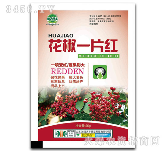 ����һƬ�t-��@���S-���S�ʘI(y��)