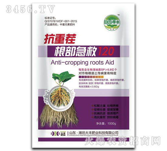 ���ز��������120-��@���S-���S�ʘI(y��)