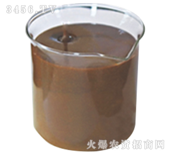 �~��ԭ�{-�Z����