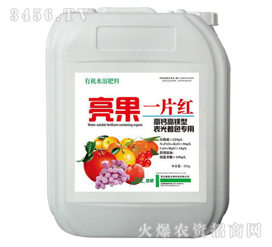 ����һƬ�t-�������